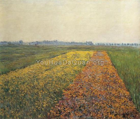 The Yellow Fields at Gennevilliers - 古斯塔夫·卡里伯特